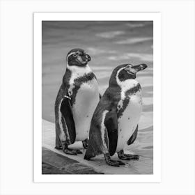 Penguins At The Zoo Art Print