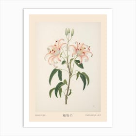 Himeyuri Okinawan Lily 1 Vintage Japanese Botanical Poster Art Print