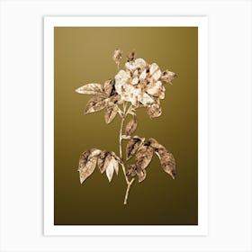 Gold Botanical French Rosebush with Variegated Flowers on Dune Yellow n.0560 Art Print