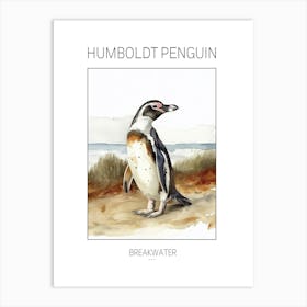 Humboldt Penguin Breakwater Watercolour Painting 2 Poster Art Print