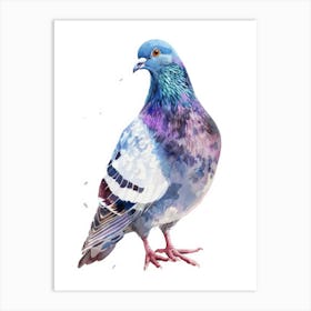 Pigeon 10 Art Print