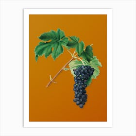 Vintage Black Aleatico Grape Botanical on Sunset Orange Art Print