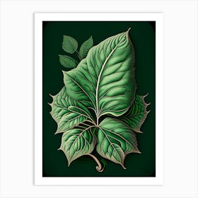 Basil Leaf Vintage Botanical 3 Art Print