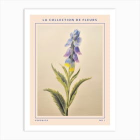 Veronica French Flower Botanical Poster Art Print