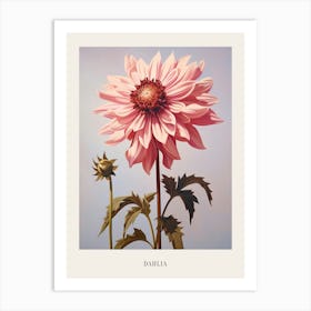 Floral Illustration Dahlia 3 Poster Art Print