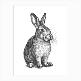 Cinnamon Blockprint Rabbit Illustration 2 Art Print