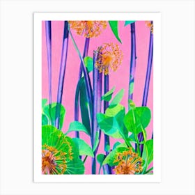 Dandelion Greens Risograph Retro Poster vegetable Art Print