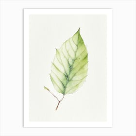 Slippery Elm Leaf Minimalist Watercolour 1 Art Print