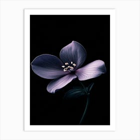 Purple Flower 5 Art Print