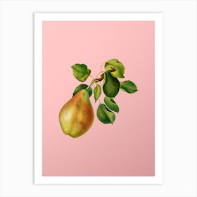 Vintage Pear Branch Botanical on Soft Pink n.0760 Art Print