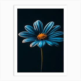 Blue Daisy Art Print