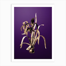 Gold Botanical Sprekelia on Royal Purple n.2478 Art Print