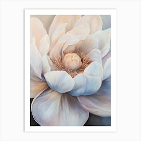 White Lotus Flower Art Print