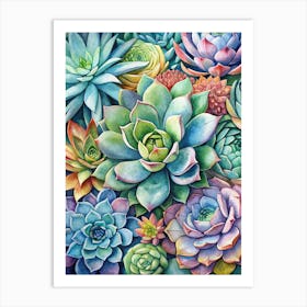 Succulents Art Print