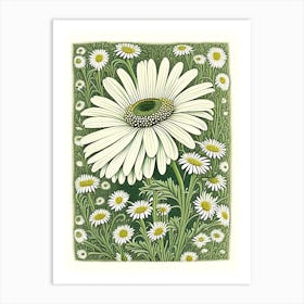 Oxeye Daisy 1 Floral Botanical Vintage Poster Flower Art Print