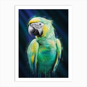 Parrot Art Print