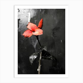 Red Flower Art Print