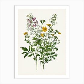 Vintage Botanical Galleria Style Wildflower Painting 38 Art Print