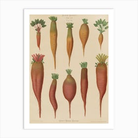 Beets 3 Art Print