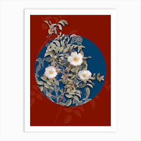 Vintage Botanical Reddish Rosebush on Circle Blue on Red n.0208 Art Print