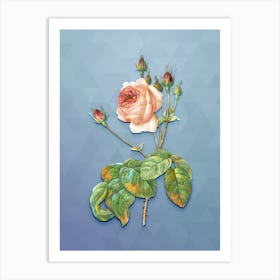 Vintage Cabbage Rose Botanical Art on Summer Song Blue n.1412 Art Print