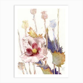 Poppy Watercolor Sketch Art Print