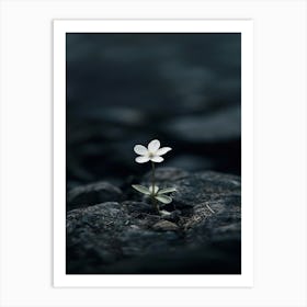 Rizwanakhan The Last Flower 15 Art Print