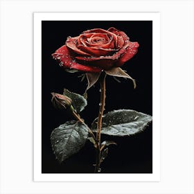 Rose In The Rain Art Print