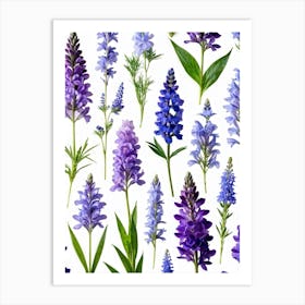 Nature Pattern Isolate White Arrangement Purple Flat Floral Blue Natural Herbal Medicine (13) Art Print