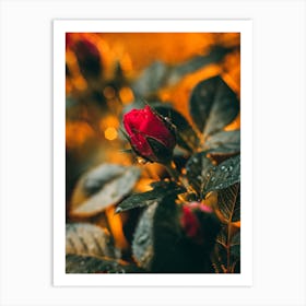 Poster Flower Art Print 8 Art Print