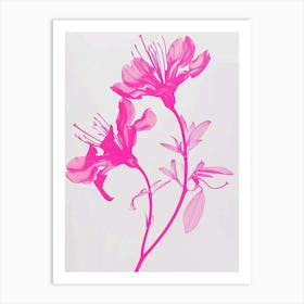 Hot Pink Honeysuckle 2 Art Print