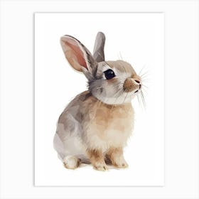 Himalayan Rabbit Kids Illustration 3 Art Print