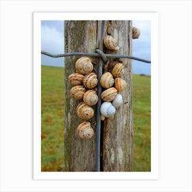 Snails On A Fence Post Art Print