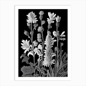 Speedwell Wildflower Linocut Art Print