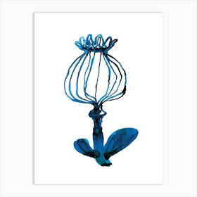 Blue Pod Flower Art Print