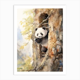 Panda Art Rock Climbing Watercolour 4 Art Print