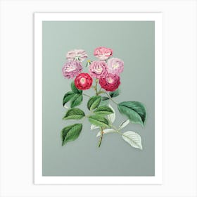 Vintage Seven Sister's Rose Botanical Art on Mint Green n.0226 Art Print