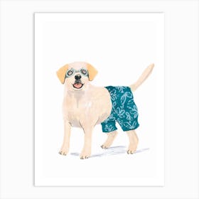 Dog In Swim Trunks Art Print