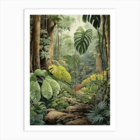 Vintage Jungle Botanical Illustration Swiss Cheese Plant 3 Art Print