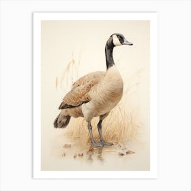 Vintage Bird Drawing Canada Goose 3 Art Print