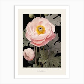 Flower Illustration Ranunculus 3 Poster Art Print
