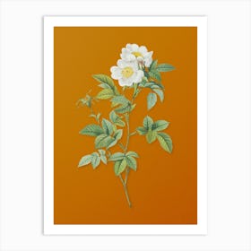 Vintage White Anjou Roses Botanical on Sunset Orange n.0693 Art Print
