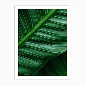 Close Up Of A Green Leaf Art Print