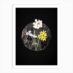 Vintage Corn Lily Botanical in Gilded Marble on Shadowy Black n.0031 Art Print