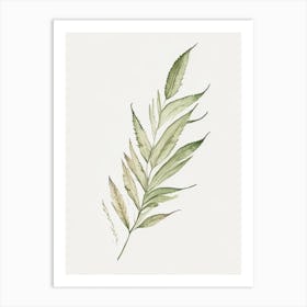 Vervain Leaf Minimalist Watercolour 3 Art Print