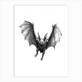 Common Pipistrelle Bat Illustration 2 Art Print