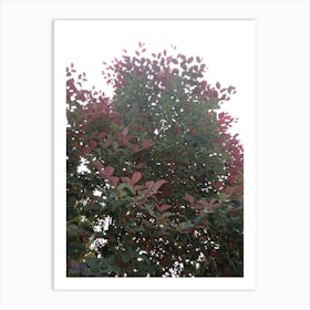 Autumn Leaves On A Tree Poster