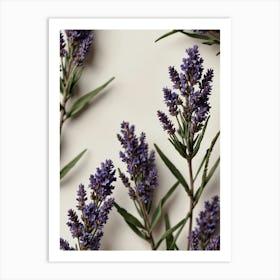 Lavender Flowers 2 Art Print