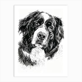 Bernese Mountain Dog Line Sketch 3 Art Print