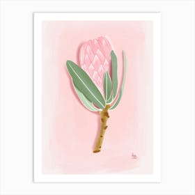 Protea Flower Gouache Digital Art Print